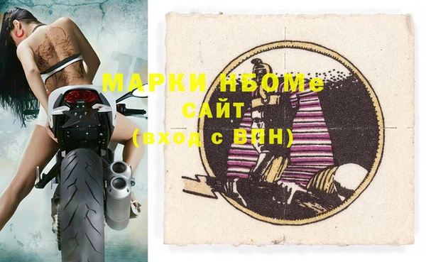 шишки Ельня