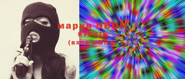 шишки Ельня