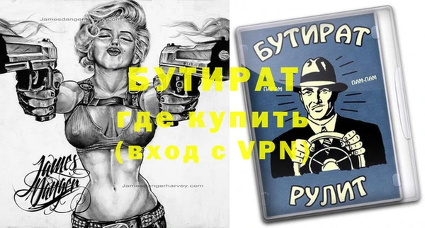 шишки Ельня