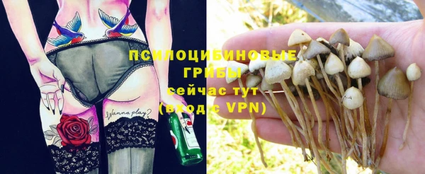дживик Елизово