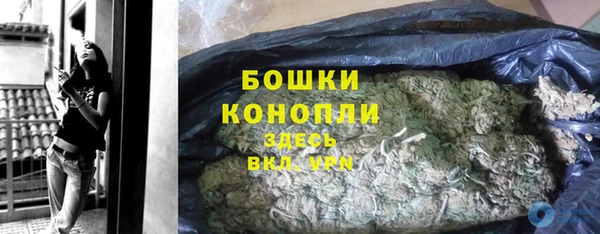 spice Арсеньев