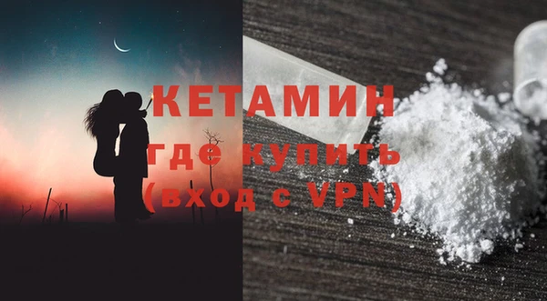 шишки Ельня