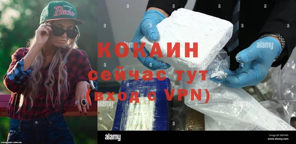 шишки Ельня