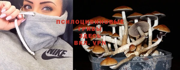 spice Арсеньев
