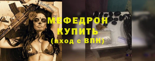 шишки Ельня